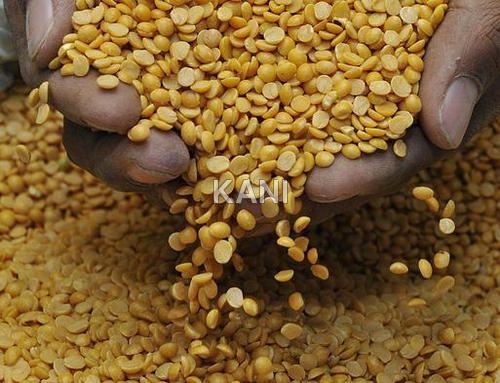 Arhar Dal