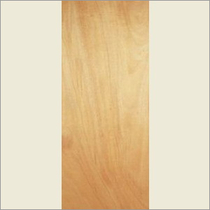 Flush Door