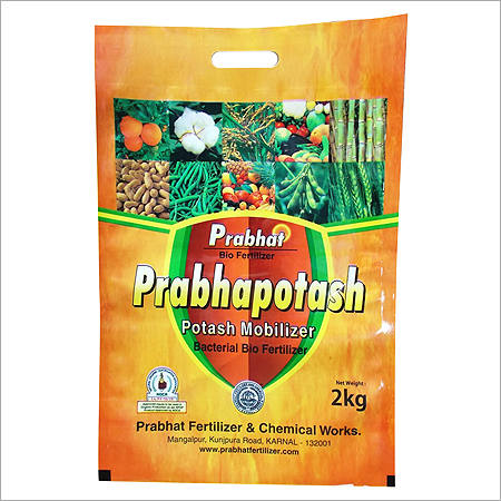 Potash Mobilizing Bacteria