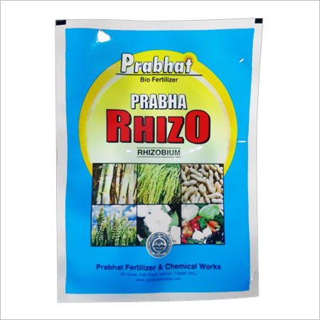 Rhizobium