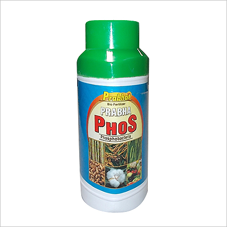 Phosphobacteria fertilizer