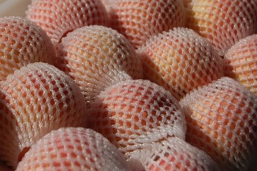 Fresh apple