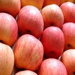 Fresh Fruit Apple