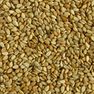 sesame