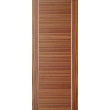 Flush Door