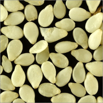 sesame seeds