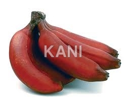 Fresh Red Banana