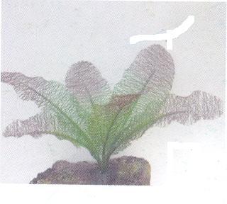 Artificial Silk Plant 12'