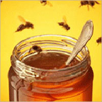 Honey