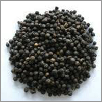 Black Pepper