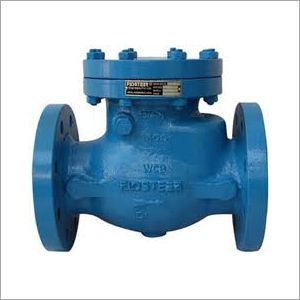 Swing Check Valve