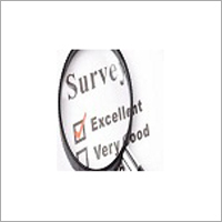 Surveys Services
