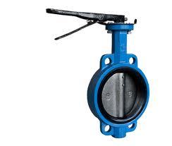 CI Butterfly Valve