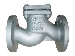 Ci/cs Lift Check Valve F/e