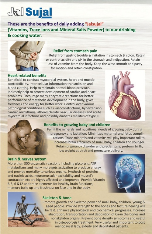 Vitamins, Trace Ions and Mineral Salt Powder