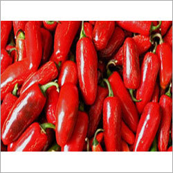 Red Chilli