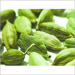 Green Cardamom