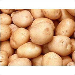 Potato