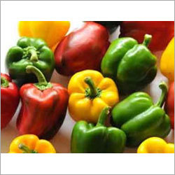 Capsicum