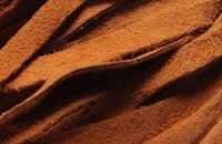 Brown Leather Cords