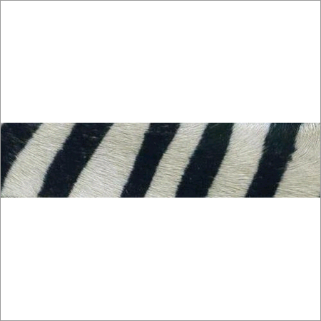 Hairy Leather Stips