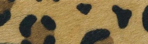 Hairy Black Leather Cord