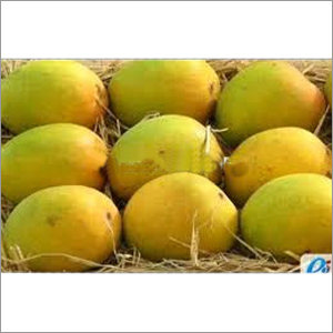 Fresh Mango