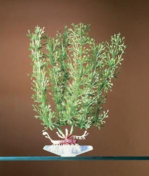 PENN PLAX PLANT M STONEWRT - Plastic 15-20cm Green Stone Base, Aquarium Decor, Realistic Look, Durable Material
