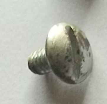 Mushroom Slotted Screw