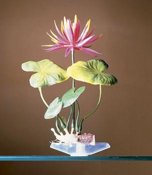 PENN PLAX PLANT L- LILY RED