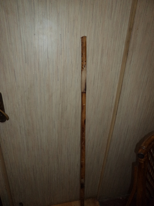 Cane Raw Materials