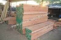 Super Meranti Chowkhat