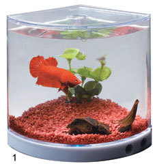 kw Dophin Mini Betta Tank T-101