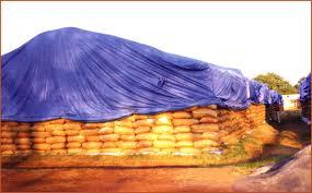 Fumigation Cover