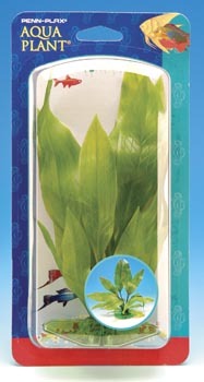 PENN PLAX PLANT AMAZON SWORD SM