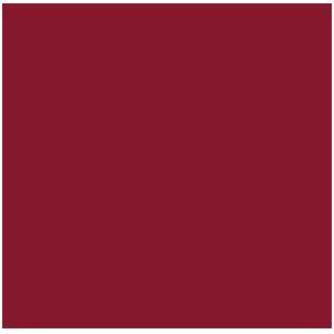 Magenta HB - Maroon Reactive Dye Powder, Water Soluble, 25kg Bags | Bright Color, Hot Brand, 99% Purity, 2 Year Shelf Life