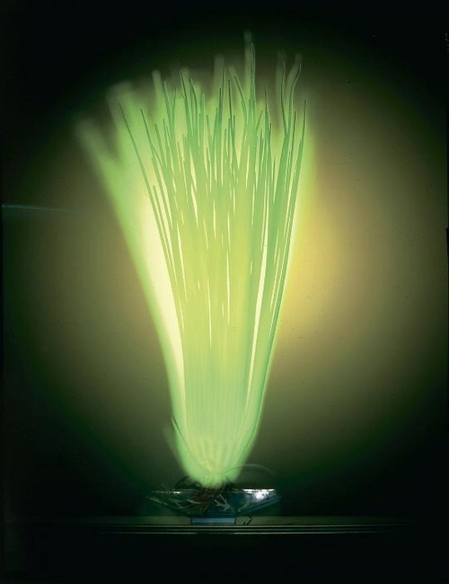 PENN PLAX Hair Grass Medium Blue - Plastic, 10cm Height, Vibrant Green, Easy Planting, Aquarium Decor