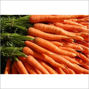 Fresh Red Carrot