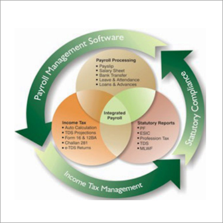 Payroll Management Software