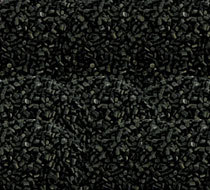 ABS Maruti Black Dana