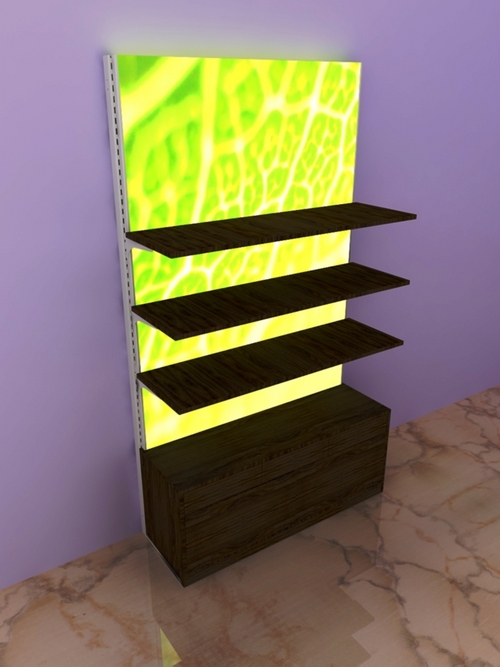 Wall Mounted Shelving Units