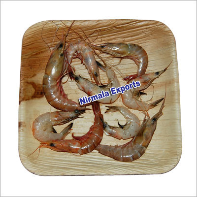 Disposable Tableware