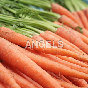 Fresh Carrots