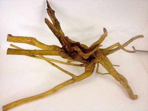 Tango 1 Driftwood