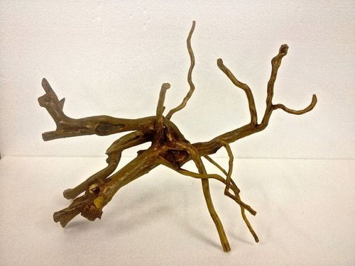 Tango Driftwood
