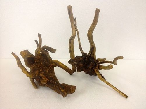 Tango Driftwood