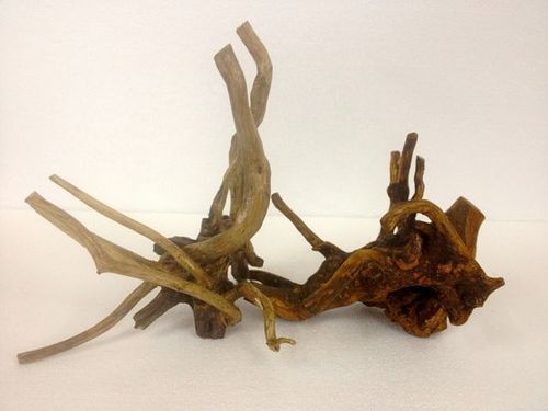 Tango Driftwood