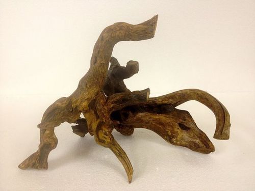 Tango Driftwood