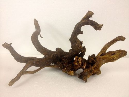 Tango Driftwood