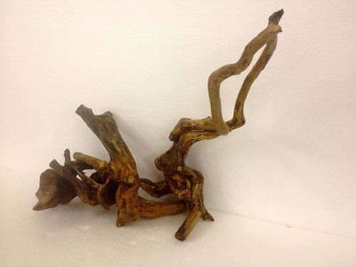 Tango Driftwood
